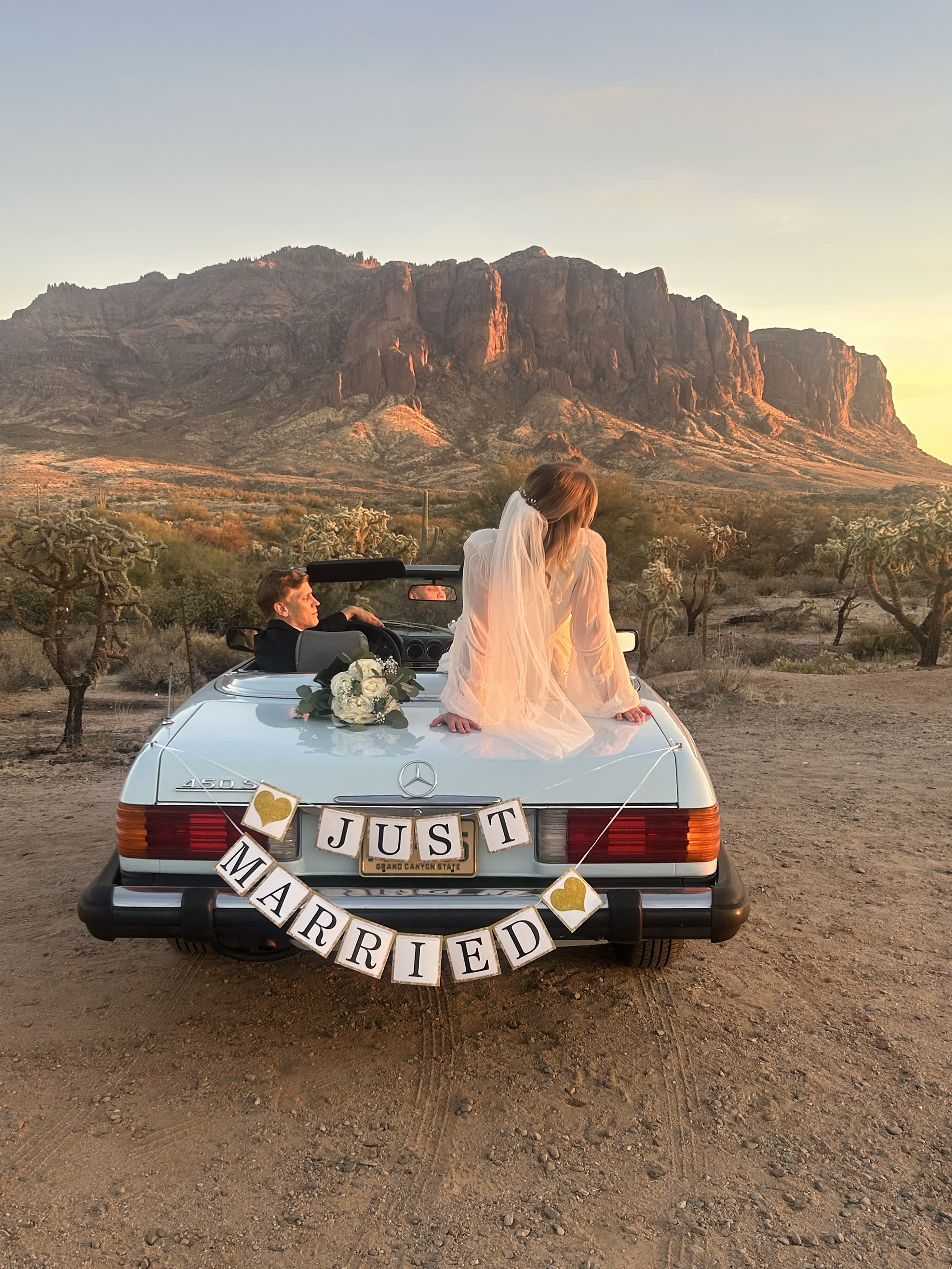 1975 Mercedes-Benz Convertible 450SL